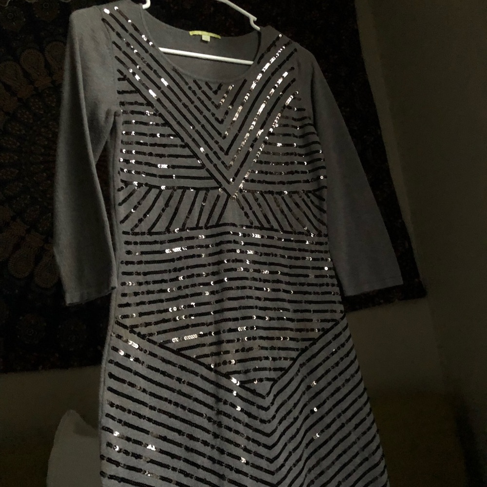 Tight Fitting Sequined Dress.